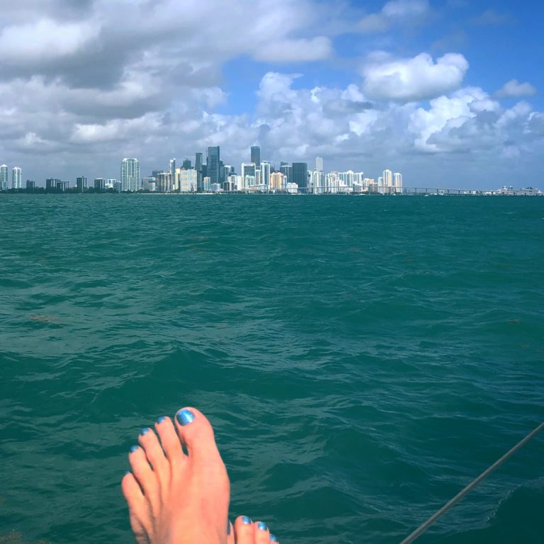 miami catamaran tour