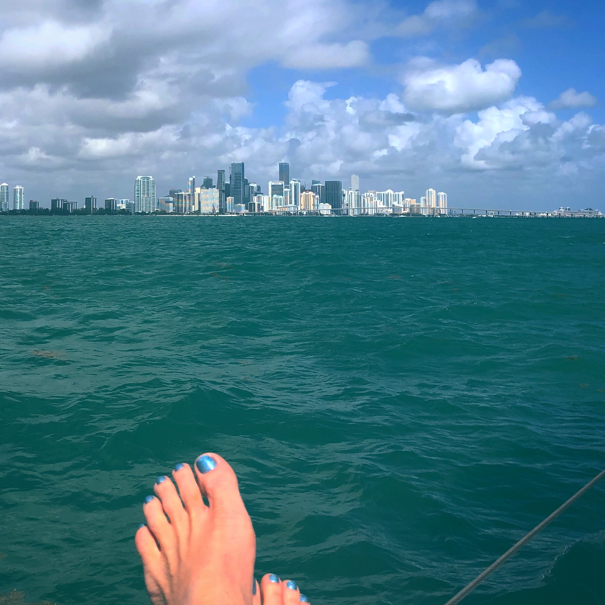 miami catamaran charter